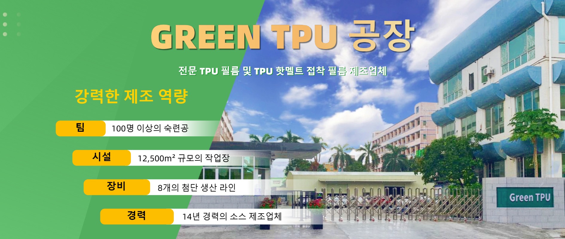 GREEN TPU 공장 – 14년의 전문성을 보유한 전문 TPU 필름 및 핫멜트 접착 필름 제조업체