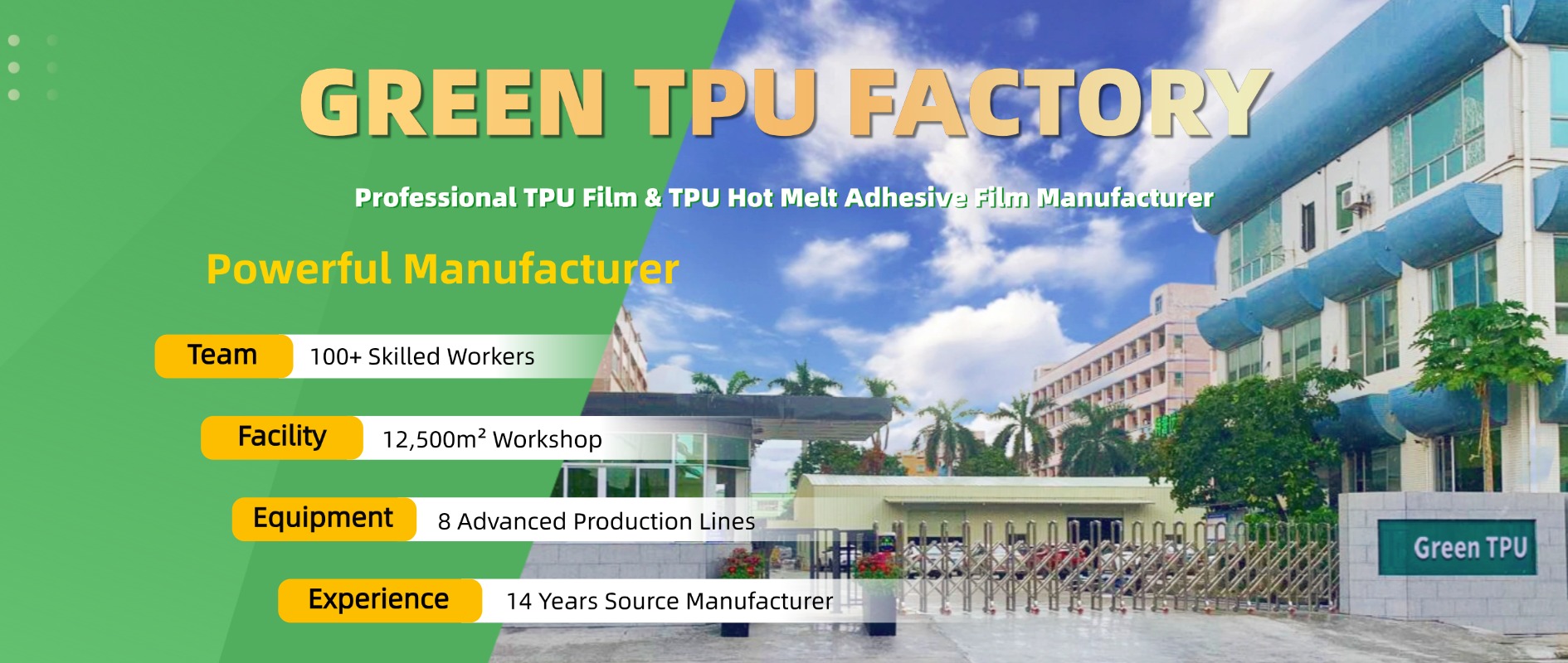 GreenTPU factory professional TPU film manufacturer with 14 years of expertise in hot melt adhesive film production